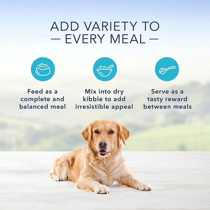 Blue Buffalo, Homestyle Recipe Lamb Dinner - 354 g - Wet Dog Food image number null
