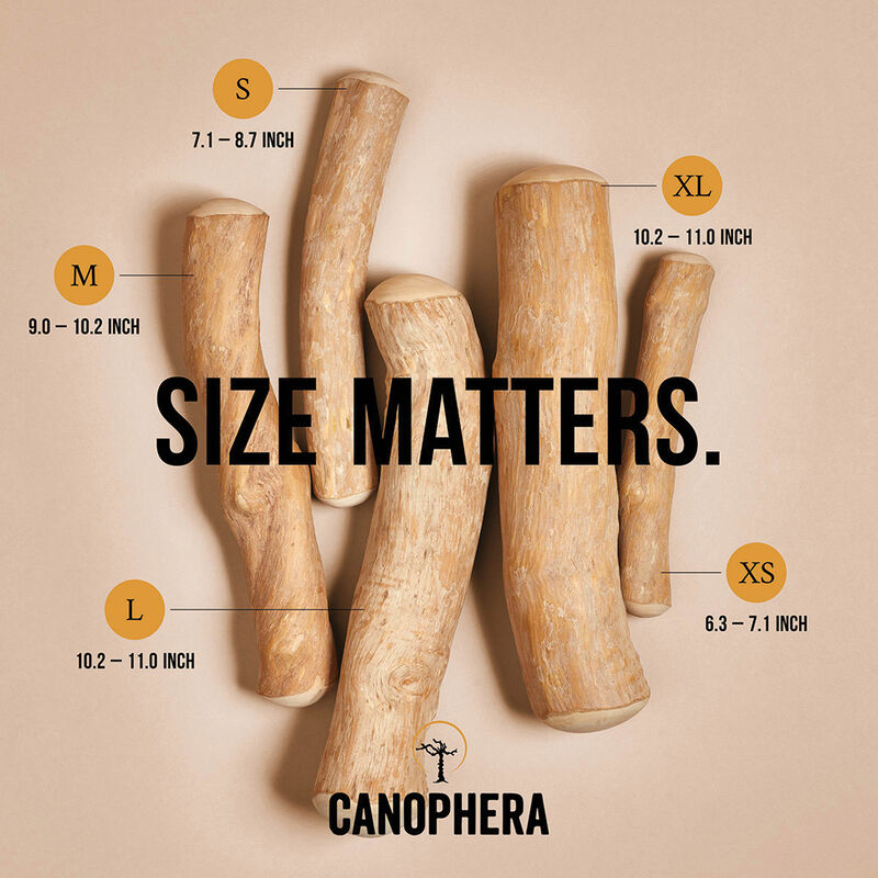 Canophera, Chew Stick - Coffee Wood image number null