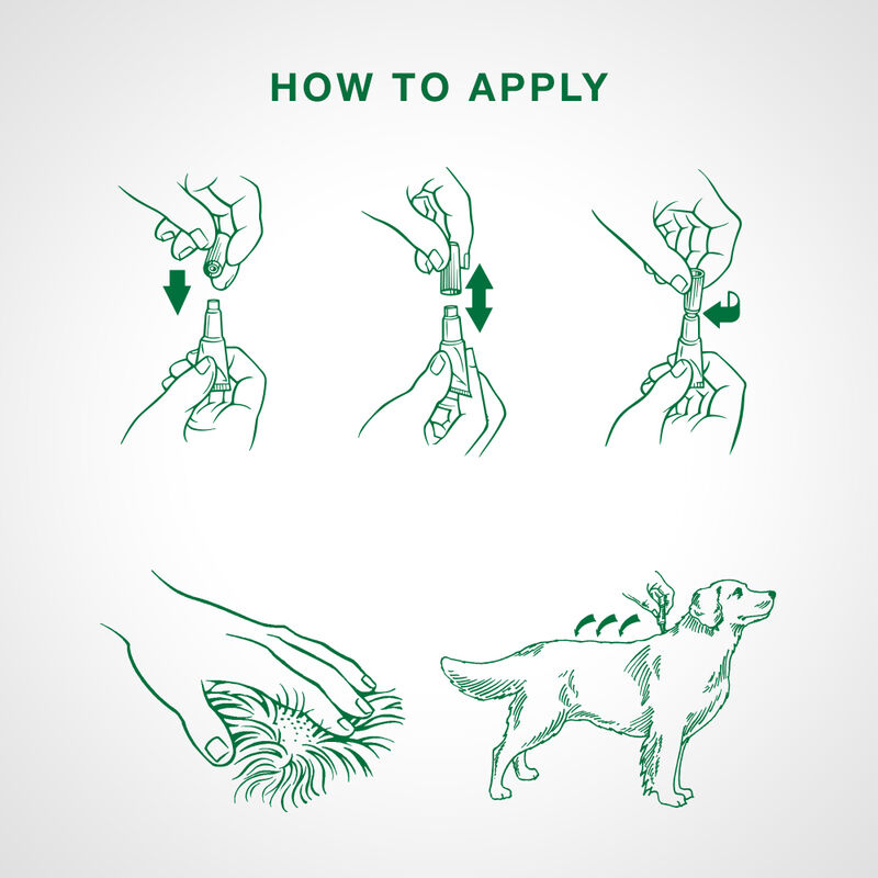 Advantage II, Medium Dog Flea Treatment & Protection, 4.6-11kg image number null