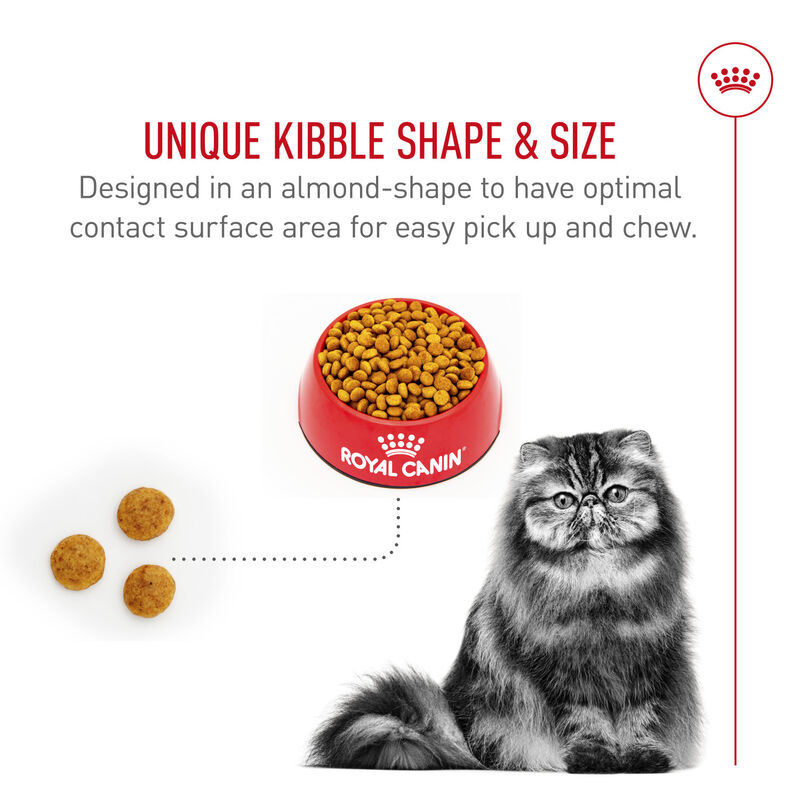 Royal Canin, Feline Breed Nutrition Persian Adult Dry Cat Food - Dry Cat Food image number null
