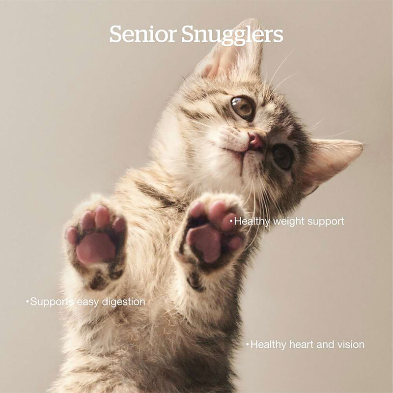NOW FRESH, Feline Senior GF - 1.36 kg - Dry Cat Food image number null