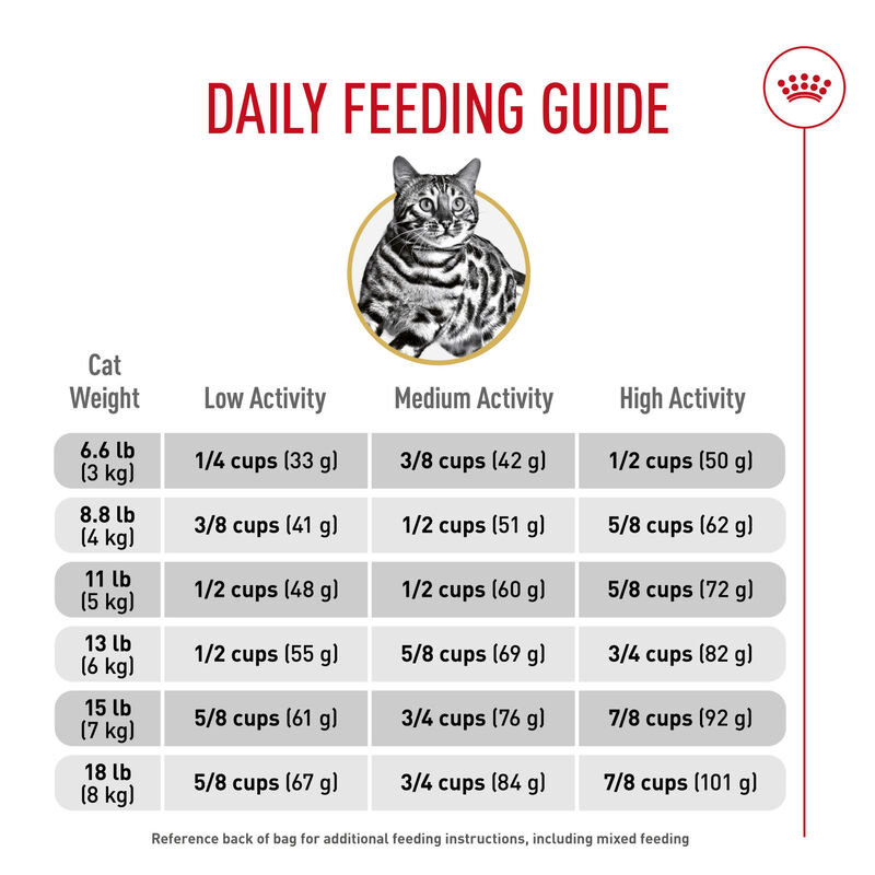 Royal Canin, Feline Breed Health Nutrition  Bengal - Dry Cat Food image number null