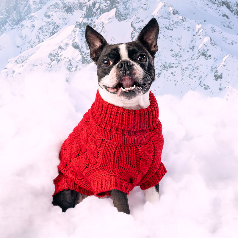 GF Pet, Chalet Sweater - Red image number null