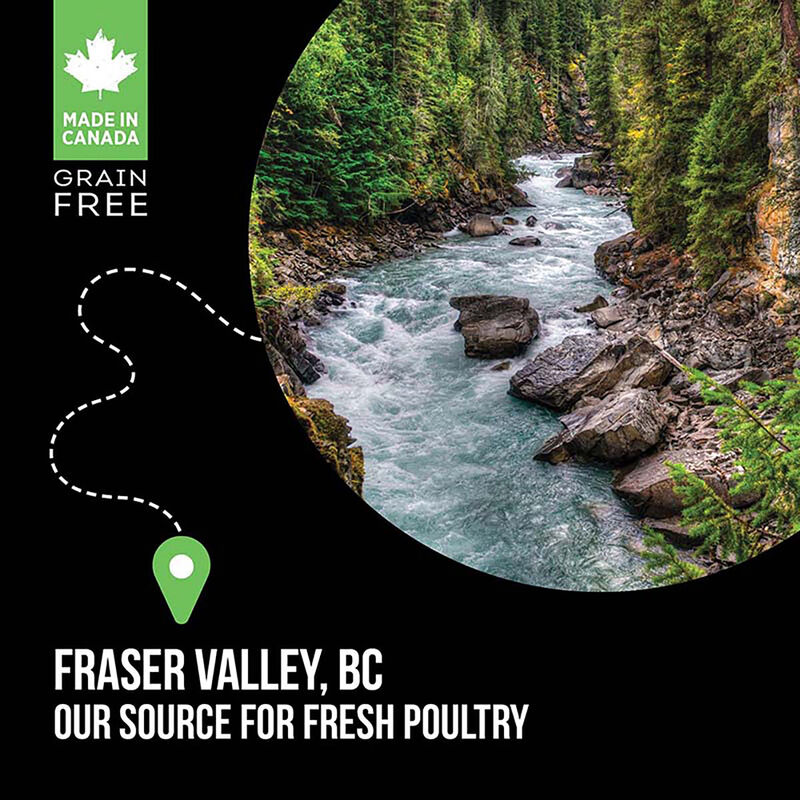 Nutrience, Puppy - SubZero Grain Free - Fraser Valley - Dry Dog Food image number null