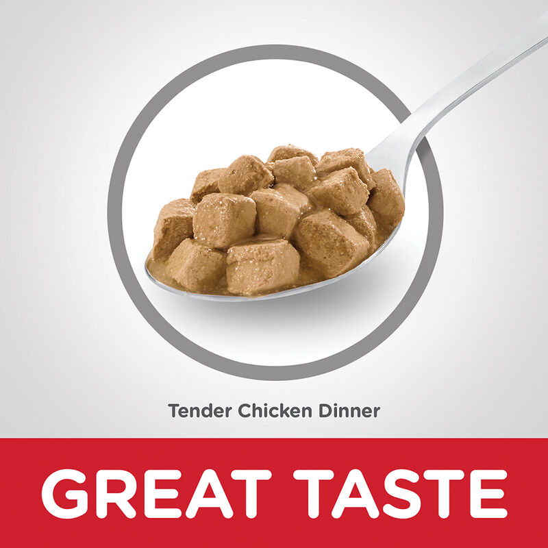 Science Diet, Adult Tender Chicken Dinner Canned Cat Food, 5.5 oz - Wet Cat Food image number null