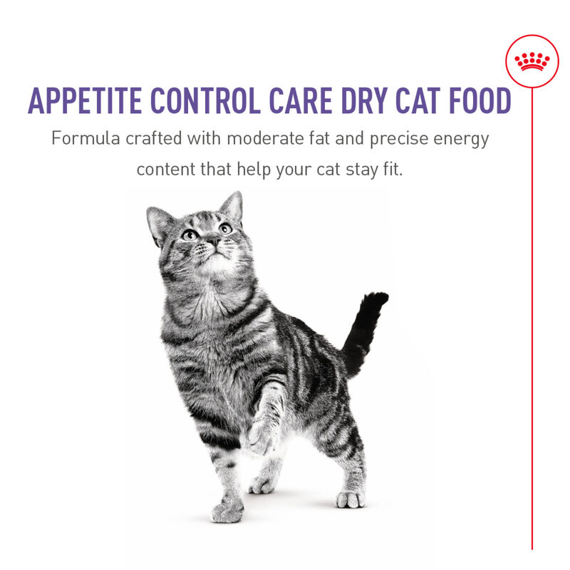 Royal Canin, Feline Care Nutrition Appetite Control - Adult - Dry Cat Food image number null