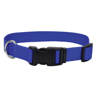 Adjustable Dog Collar with Plastic Buckle, Blue, Small - 5/8" x 10"-14"
