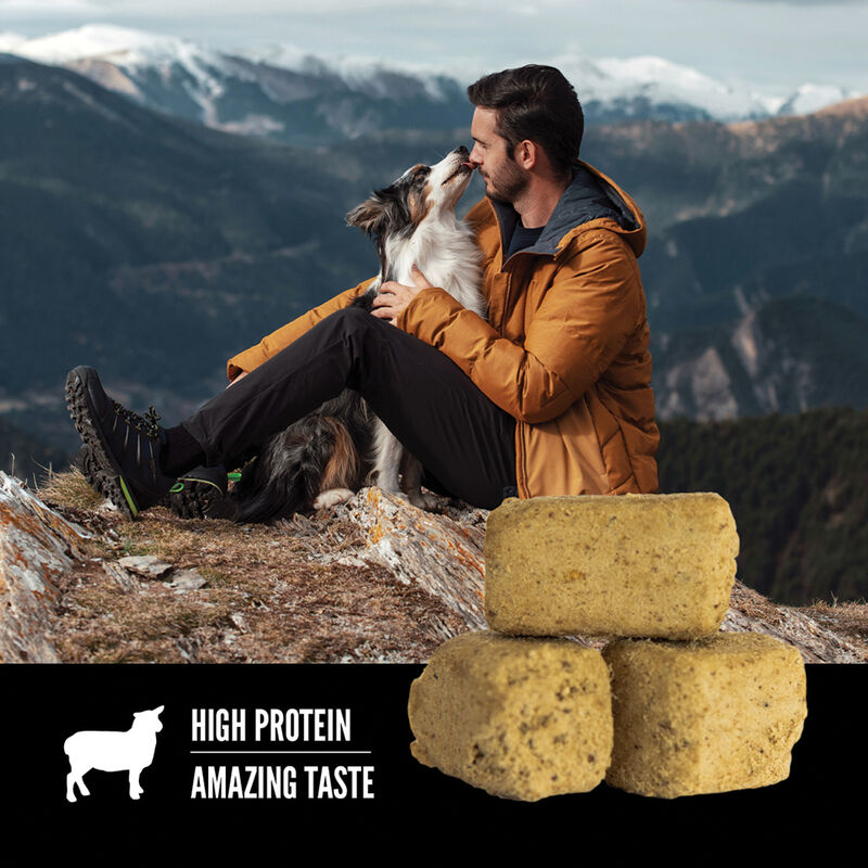 Orijen, Freeze Dried Dog Treat - Grass-Fed Lamb - Freeze Dried Dog Treat image number null
