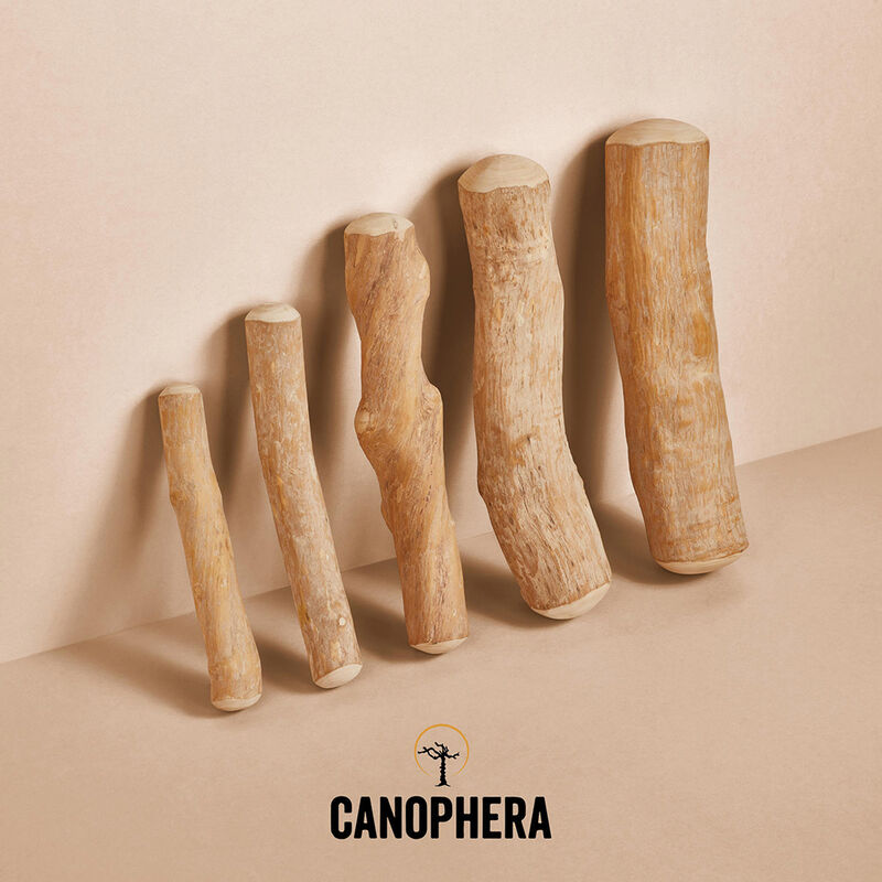 Canophera, Chew Stick - Coffee Wood image number null