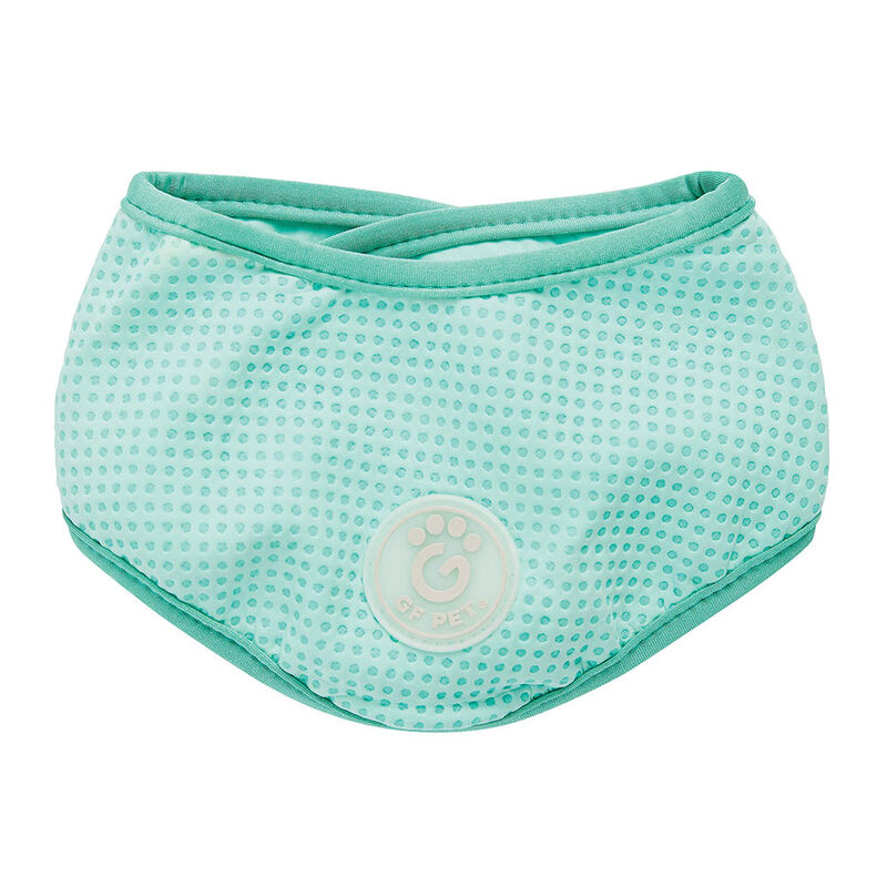 GF Pet, Ice Band Aqua image number null