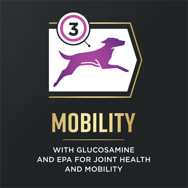 Pro Plan, AdvantEDGE - Senior Support Chicken & Rice - Dry Dog Food image number null