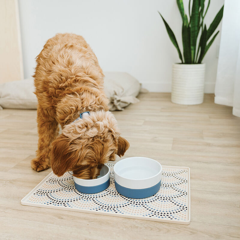 BeOneBreed, Ceramic and Silicone Bowl - Blue image number null