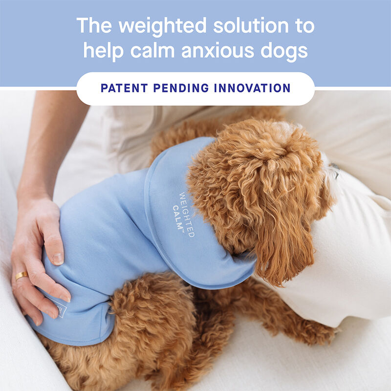 Canada Pooch, Weighted Calming Vest - Dog Anxiety image number null