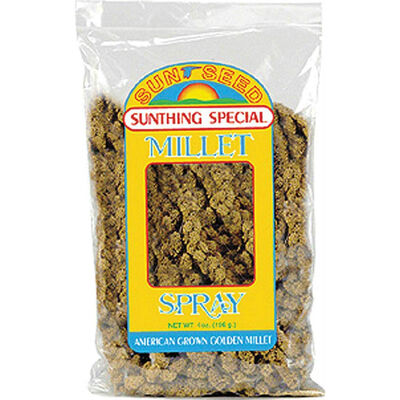 Sunseed, Millet Spray