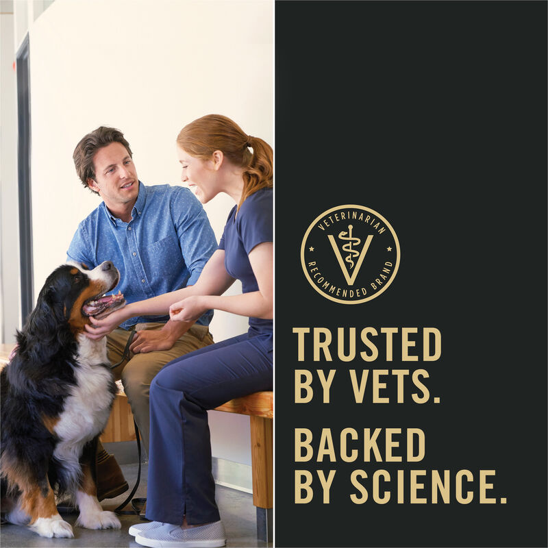 Pro Plan, Can, Adult-Complete Essentials-Beef & Rice - 368g - Wet Dog Food image number null