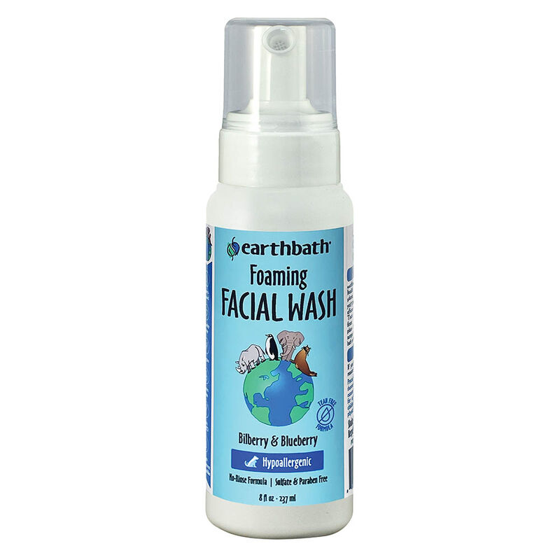 Earthbath, Foaming Facial Wash - Bilberry & Blueberry - 8 oz image number null
