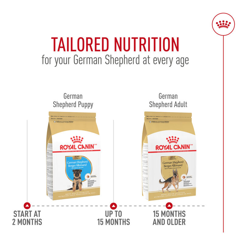 Royal Canin, Breed Health Nutrition German Shepherd Puppy - Dry Dog Food image number null