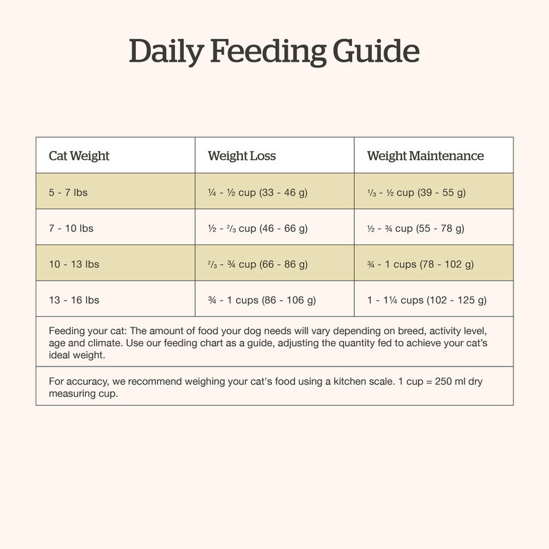 Good Gravy - Chicken Coated in Bone Broth - Dry Cat Food image number null