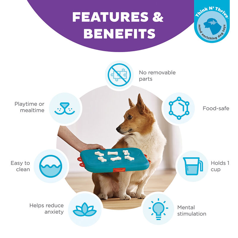 Outward Hound, Nina Ottosson, Dog Casino Treat Puzzle - Turquiose image number null
