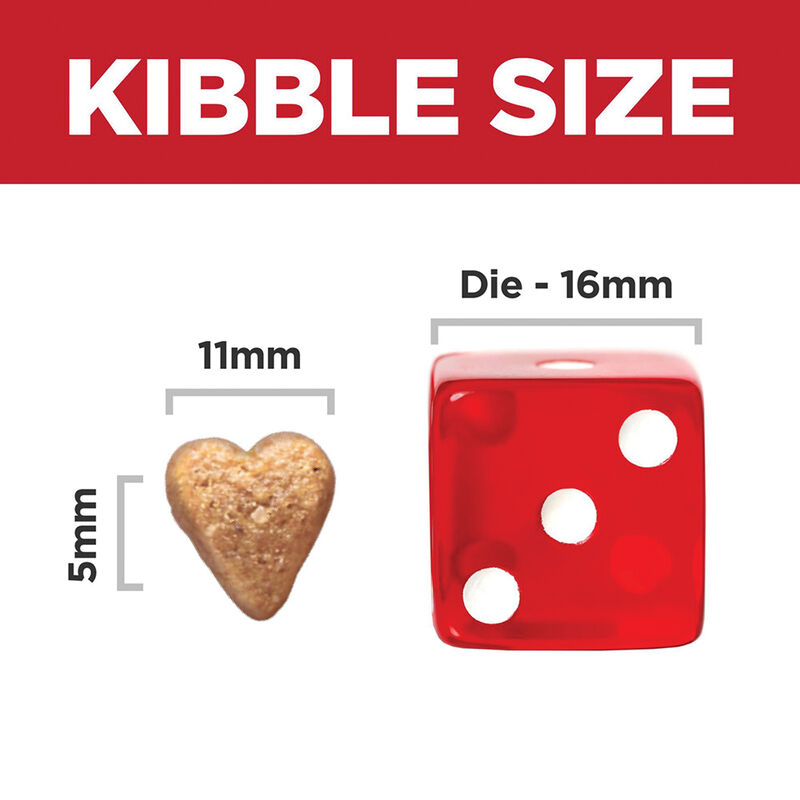 Science Diet, Adult - Perfect Weight+Joint - Dry Dog Food image number null