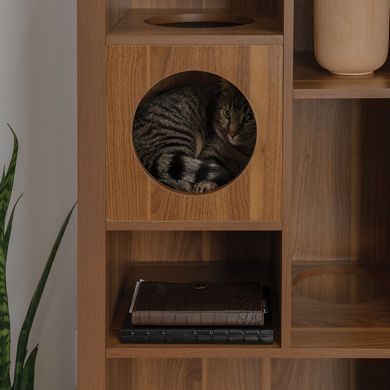 4 Cats & Dogs Home Furnishing Inc., Cliff Jr Shelf - Walnut image number null