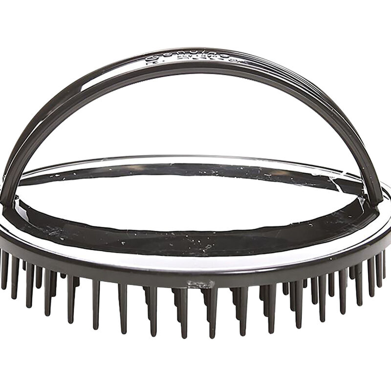 Bass, Nylon Shampoo Brush - Black - Small image number null