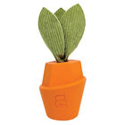 Bozzy, Carrot Cake Chew Toy image number null