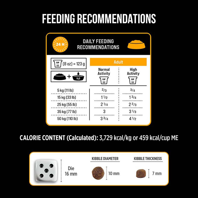 Nutrience, Adult Large Breed - SubZero Grain Free - Fraser Valley - Dry Dog Food image number null