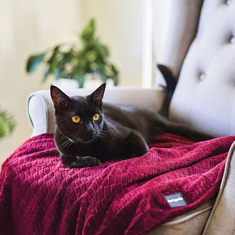 Brigade, Textured Polar Fleece Blanket - Decadent Chocolate image number null