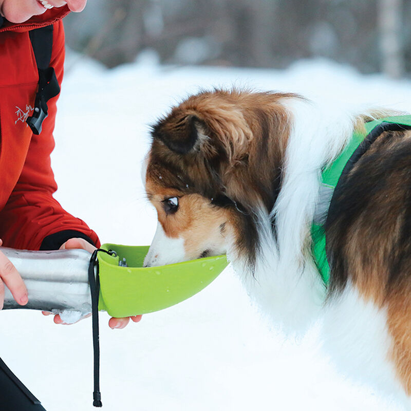 Messy Mutts, Stainless Travel Water Bottle with Flip Up Bowl 700ml - Green image number null