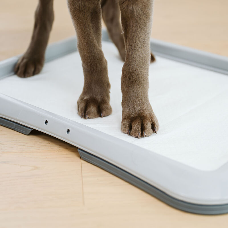 O'select Training Pads - Small Dogs and Puppies - 10 Pk image number null