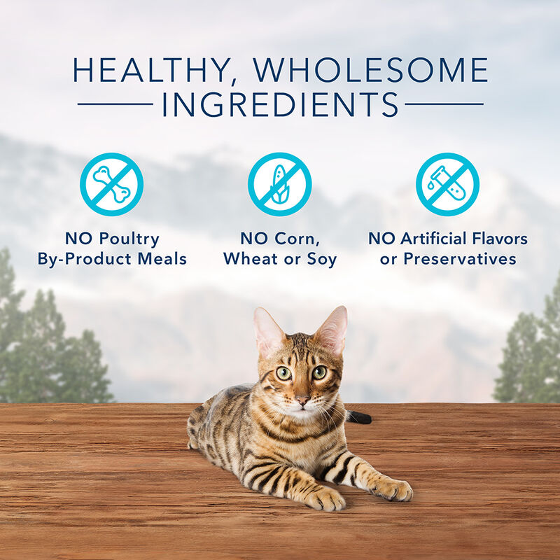 Blue Buffalo, Feline Treat - Wilderness - Crunchy Salmon - 56 g - Cat Treat image number null