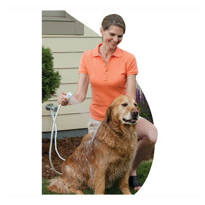 Rinse Ace, Ace In / Outdoor Pet Sprayer