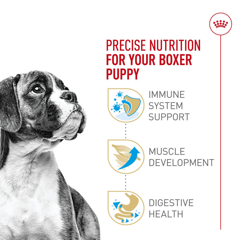 Royal Canin, Breed Health Nutrition Boxer Puppy - Dry Dog Food image number null