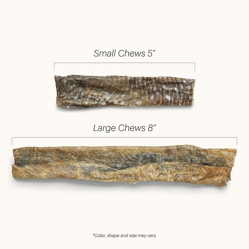 The Honest Kitchen, Wild Caught Cod - Beams - Freeze Dried Dog Treat image number null