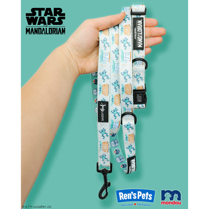 Sassy Woof, Star Wars Collar and Leash Set for Dogs - Small image number null