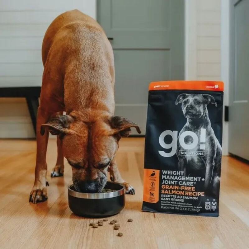 GO! SOLUTIONS, Adult - Weight Management & Joint Care - Salmon Recipe for Dogs image number null