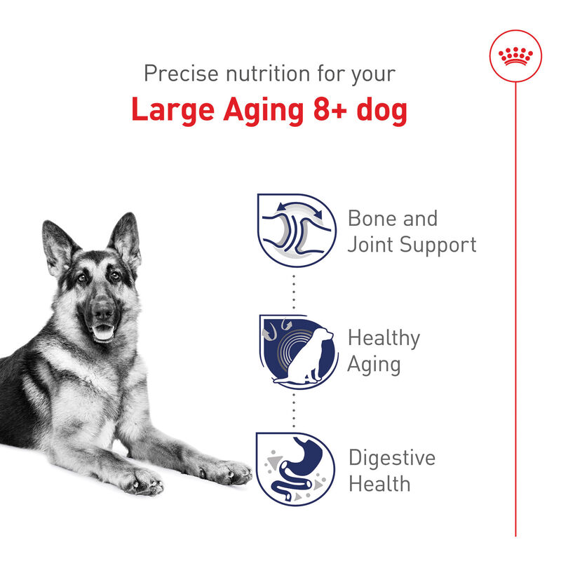 Royal Canin, Size Health Nutrition Large Aging 8+ - Dry Dog Food image number null