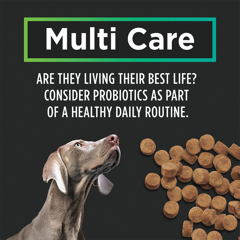 Pro Plan, Multi Care Chews image number null