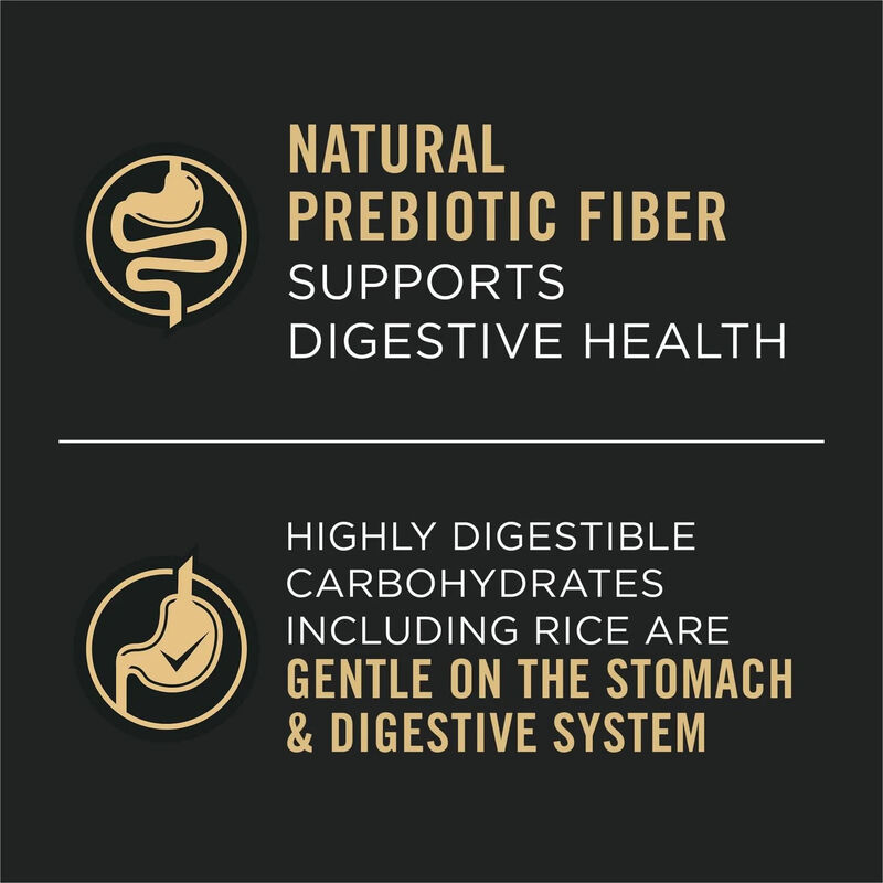 Pro Plan, Sensitive Skin & Stomach - Lamb & Oat in Gravy - Wet Dog Food image number null