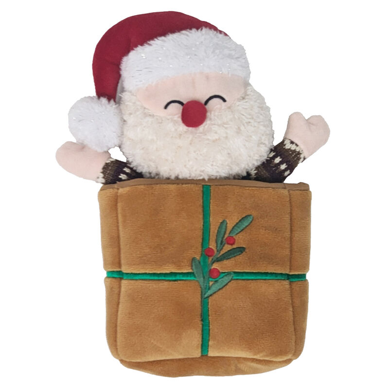 Zoom Pets, Surprise Santa Clause image number null