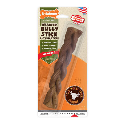 Nylabone, Power Chew, Bully Braid Stick - Alternative - Giant