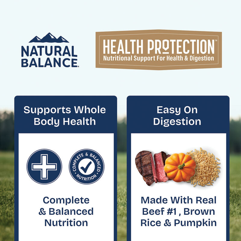 Natural Balance, Health Protection - Beef & Pumpkin Stew - Wet Dog Food image number null