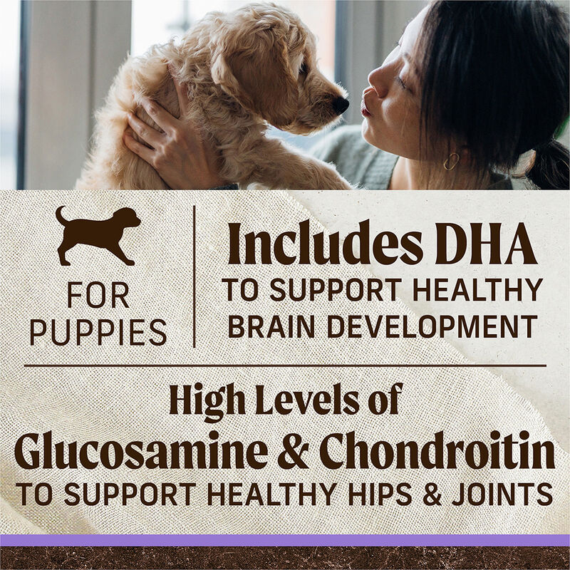 Merrick, Puppy - Grain Free Beef & Sweet Potato - Dry Dog Food image number null