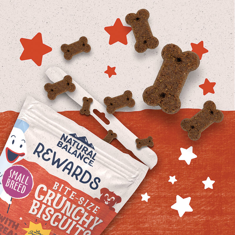 Natural Balance, Limited Ingredient Dog Treats Small Breed, Sweet Potato & Fish - Dog Biscuit image number null