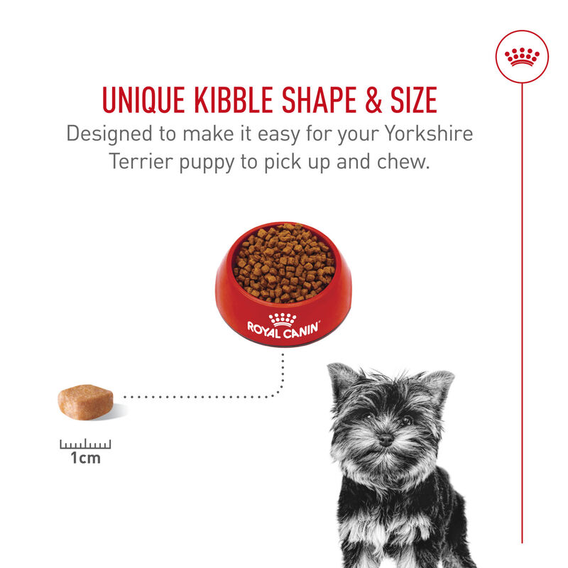 Royal Canin, Breed Health Nutrition Yorkshire Terrier Puppy - Dry Dog Food image number null