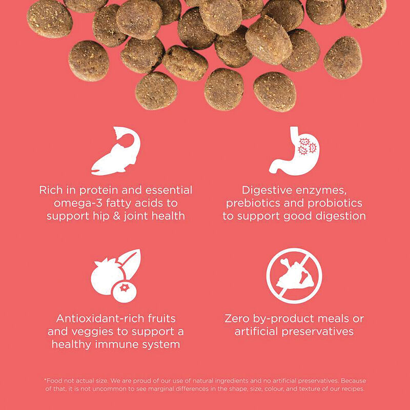 GO! SOLUTIONS CARNIVORE Grain Free Salmon + Cod Recipe for dogs image number null