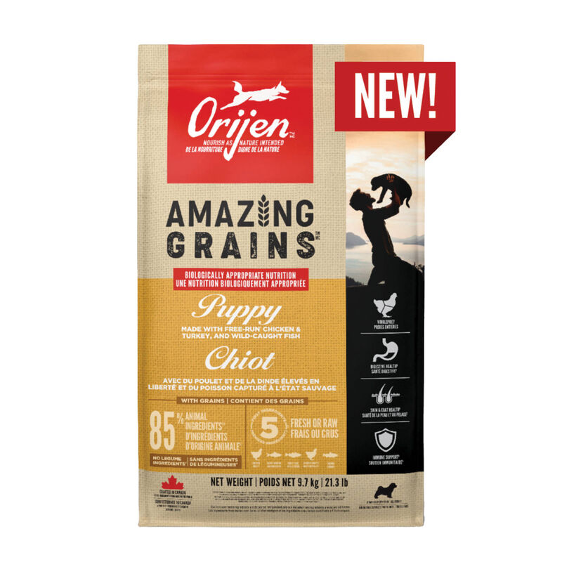 Orijen, Amazing Grains - Chicken, Turkey, & Wild-Caught Fish - Puppy Food image number null