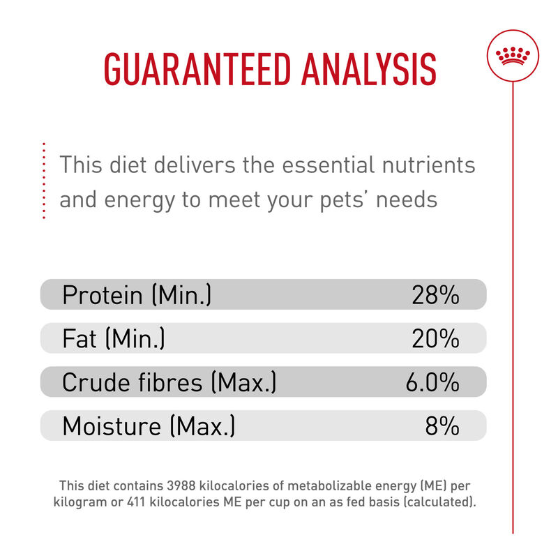 Royal Canin, Feline Breed Nutrition Persian Adult Dry Cat Food - Dry Cat Food image number null