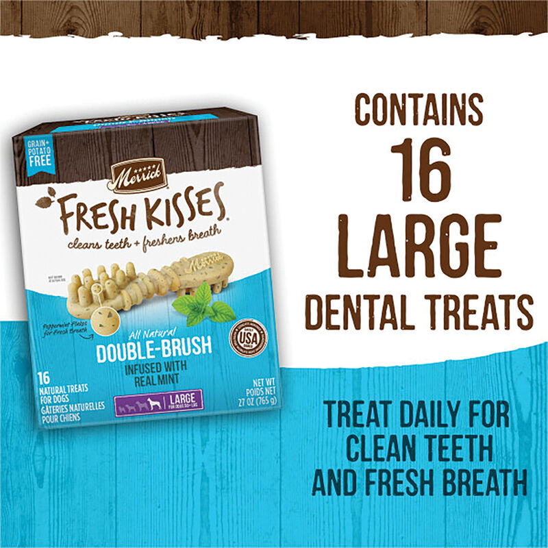 Merrick, Fresh Kisses Brush - Mint - Dog Treat image number null